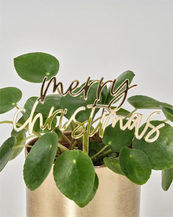 Merry Christmas Stake