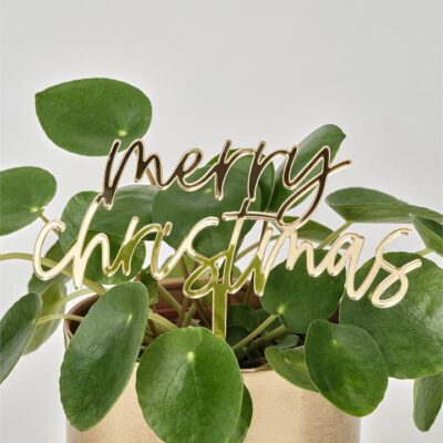 Merry Christmas Stake, Sydney