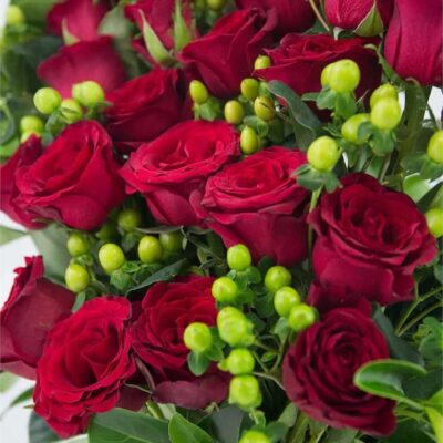 Amour - Two Dozen