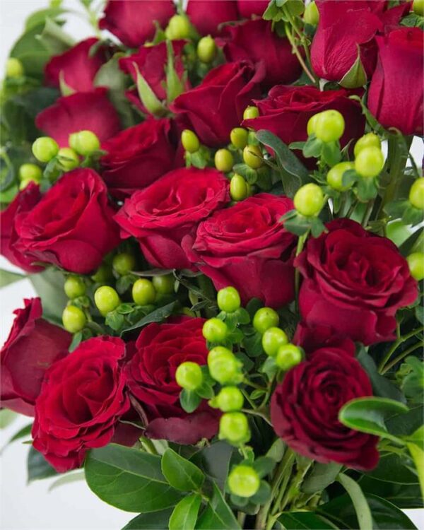 Amour - Two Dozen