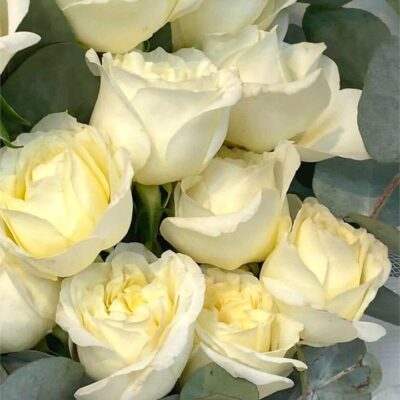 Local Roses Bouquet, White (x24)