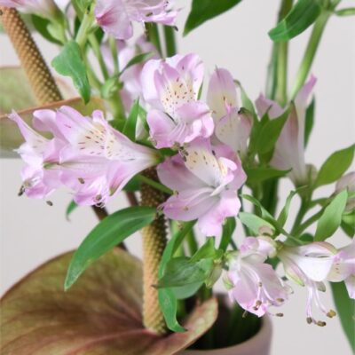 Portofino Vase Arrangement