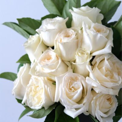 White Rose Bouquet - 12 Stems