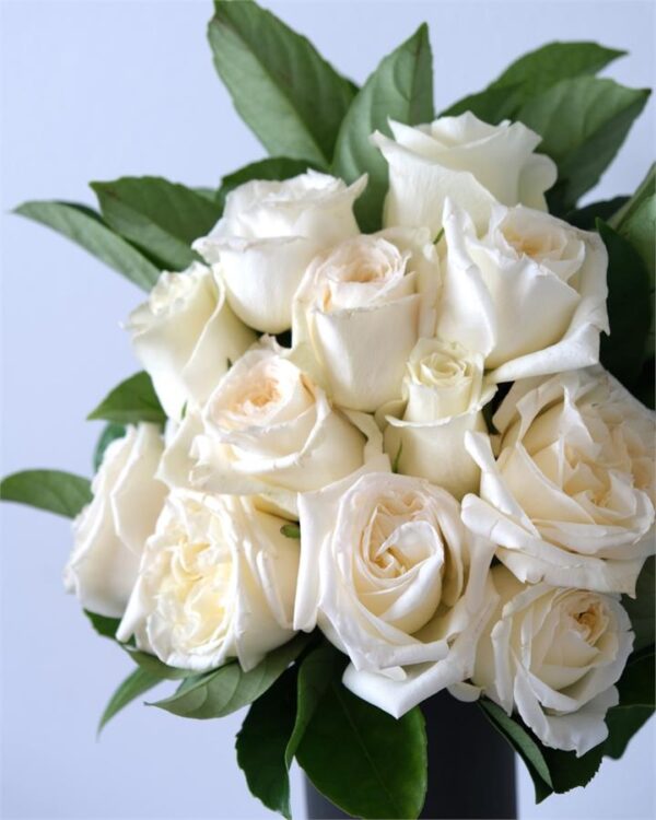 White Rose Bouquet - 12 Stems