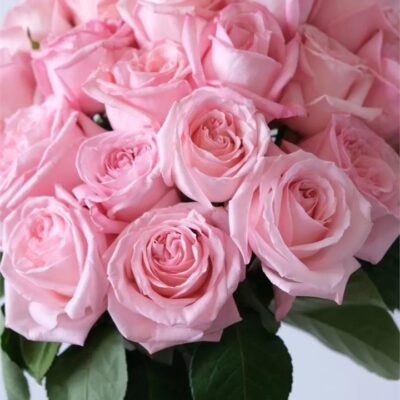 Pink Rose Bouquet - 24 Stems