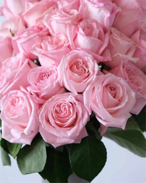 Pink Rose Bouquet - 24 Stems