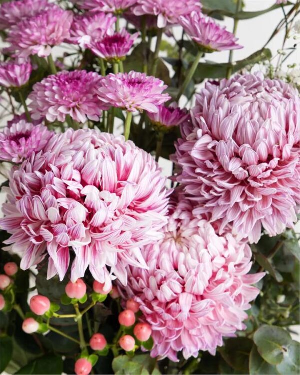 Bespoke - Pretty & Pink (Sizes: $85)