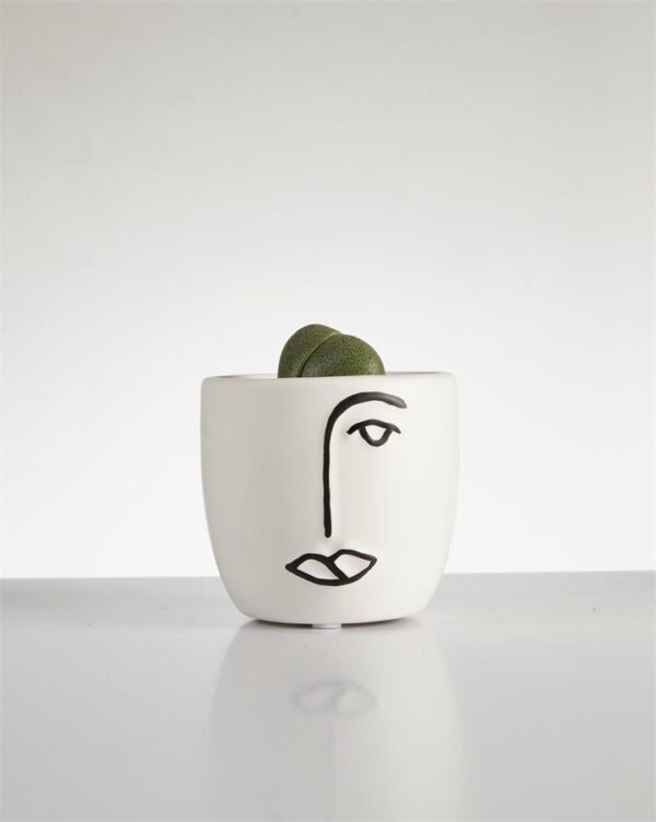 Succulent “Split Rock” in Face Pot (60mm)