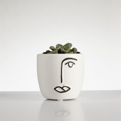 Succulent “Titanopsis” in Face Pot (60mm)