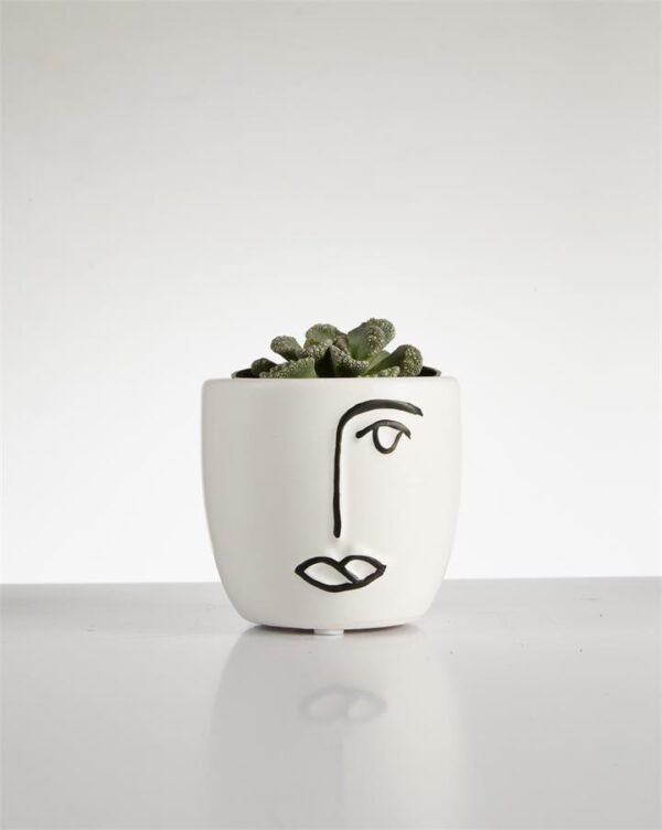 Succulent “Titanopsis” in Face Pot (60mm)