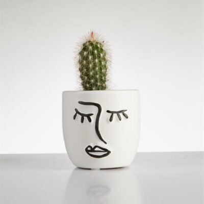 Cactus “Esposta” tall in Face Pot (60mm)