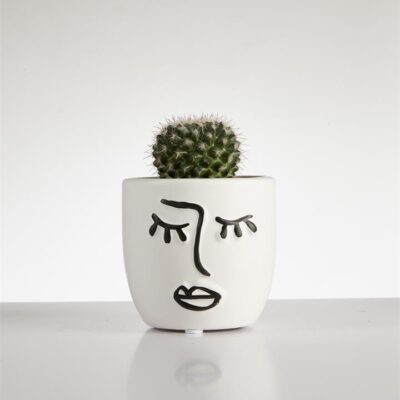Cactus “Mammillaria” single in Face Pot (60mm)