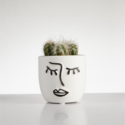 Cactus “Esposta” cluster in Face Pot (60mm)