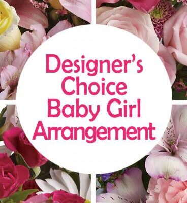 DC Baby Girl Arrangement Flower Bouquet