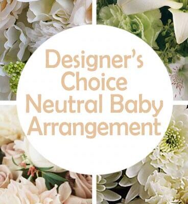 DC Neutral New Baby Arrangement Flower Bouquet